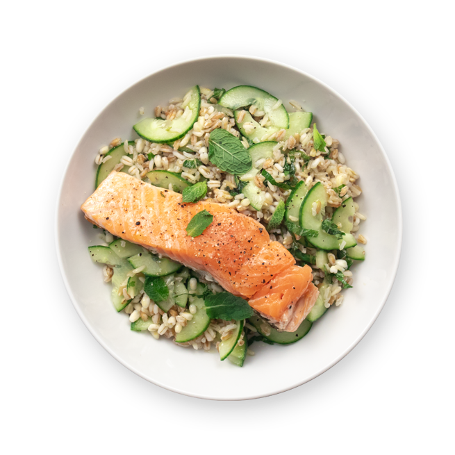 Saumon mi-cuit & salade citronnée