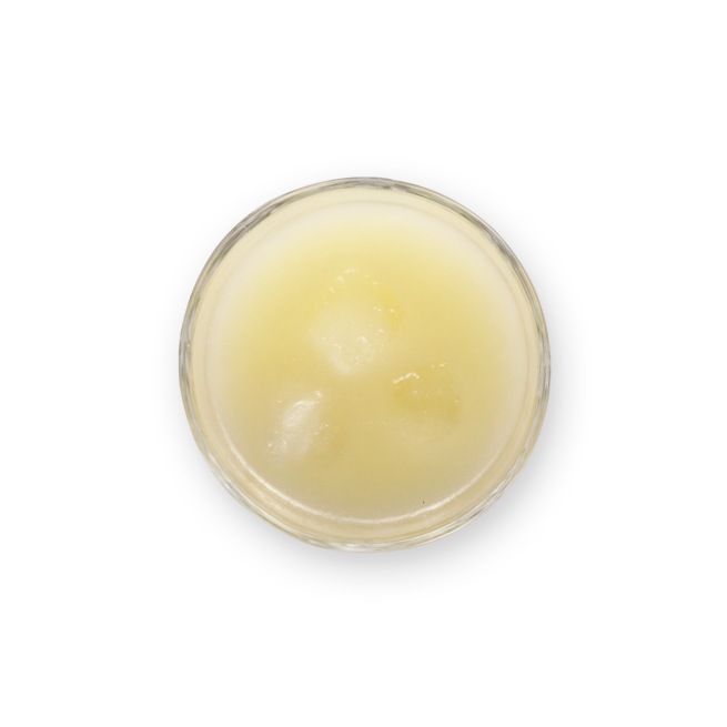 Pastis