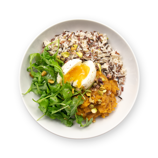 Comfort Bowl