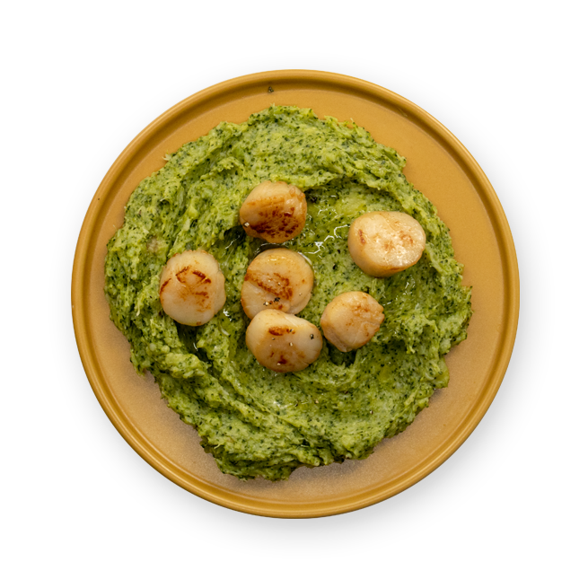 Saint-Jacques poêlées et brocoli